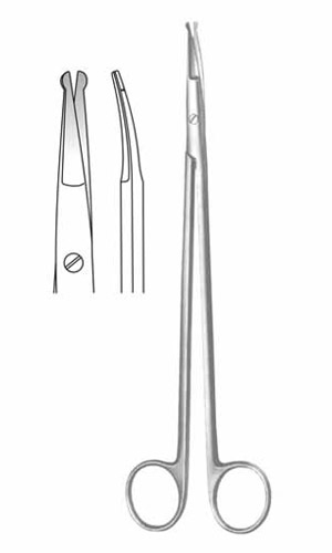 Dissecting Scissors